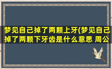 梦见自己掉了两颗上牙(梦见自己掉了两颗下牙齿是什么意思 周公解梦)